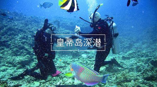 废弃精神病院逃脱